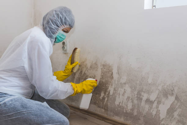 Mold Exposure & Symptoms